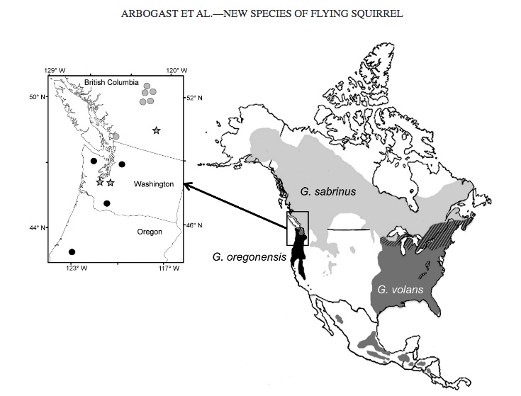 range map of the 3 flying squirrels in North America - Mammal Watching