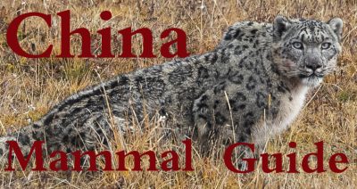 China Wildlife Guide