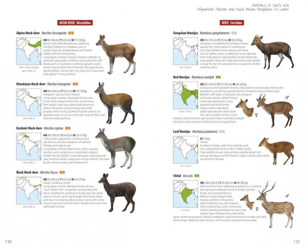 Book Review: Mammals of South Asia (Lynx Checklist) - Mammal Watching