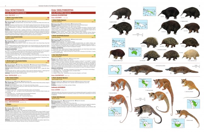 New Book: Illustrated Checklist of the Mammals of the World - Mammal